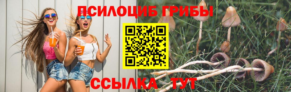 Орёл  Псилоцибиновые грибы ЛСД  Вход с VPN 