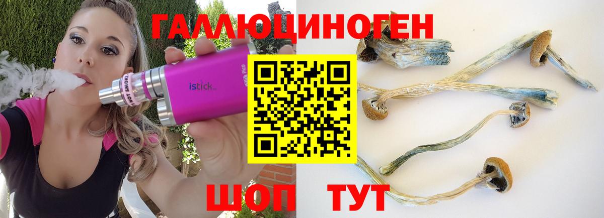 Псилоцибиновые грибы ЛСД Орёл